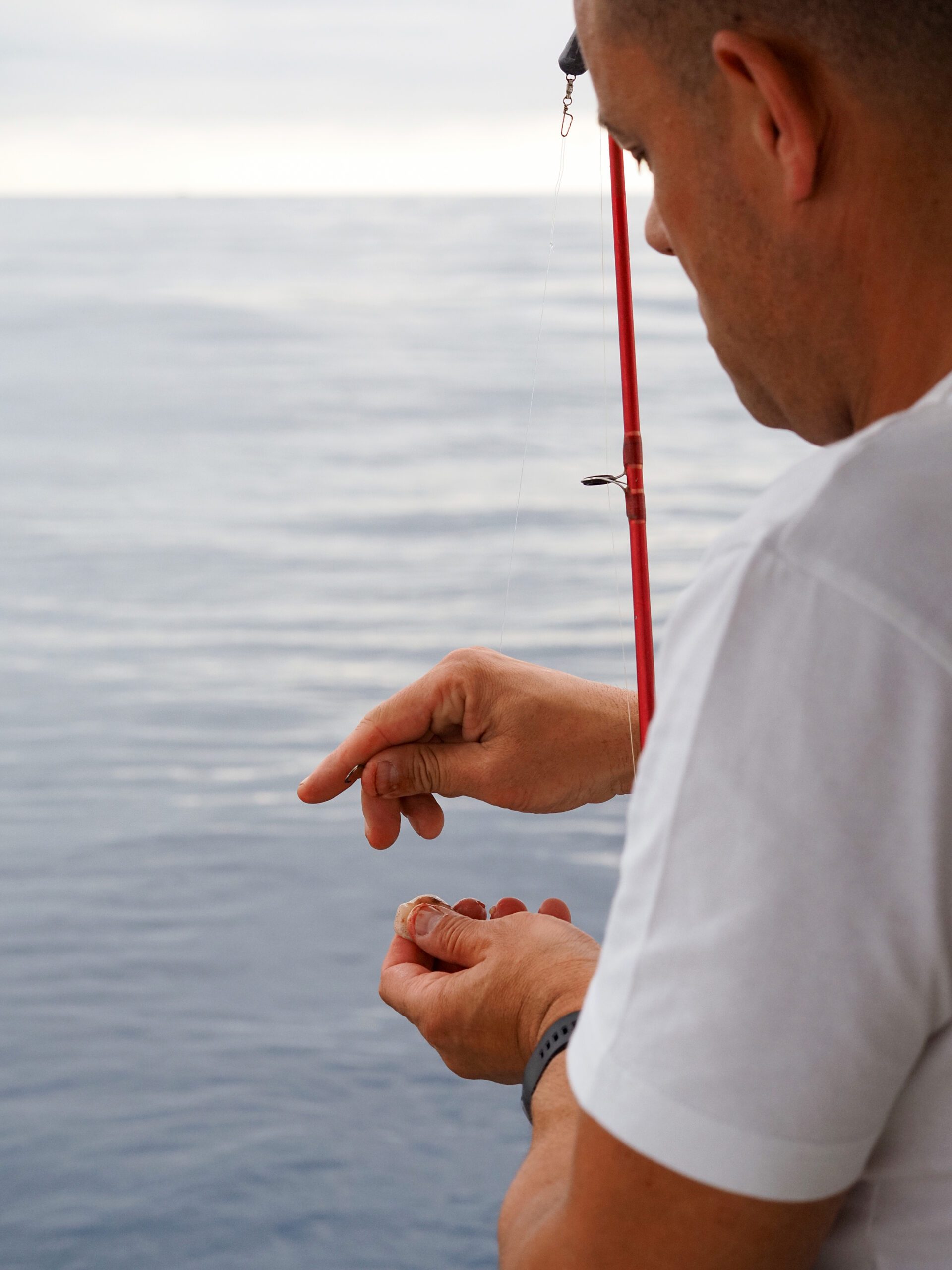 Precio para salida de pesca con equipo incluido